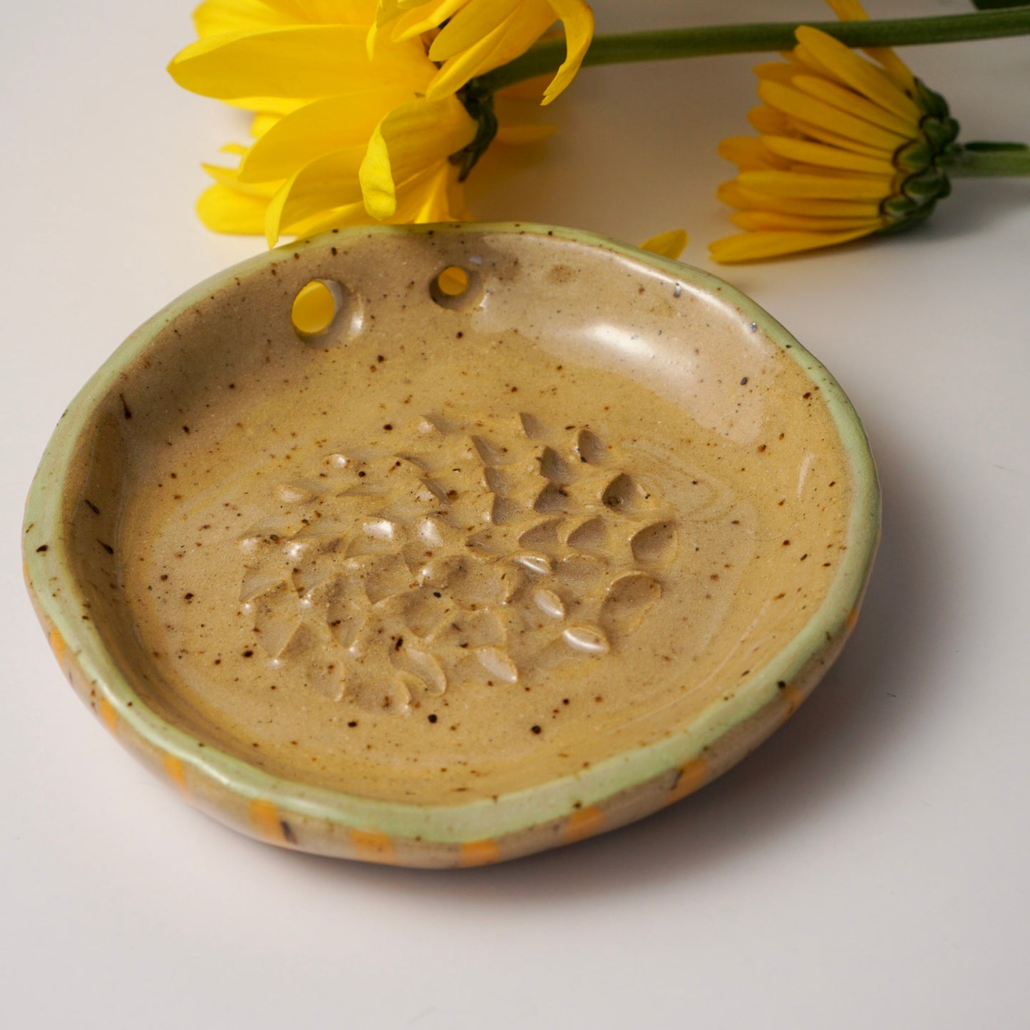 Gratte-ail en céramique | Bicolore