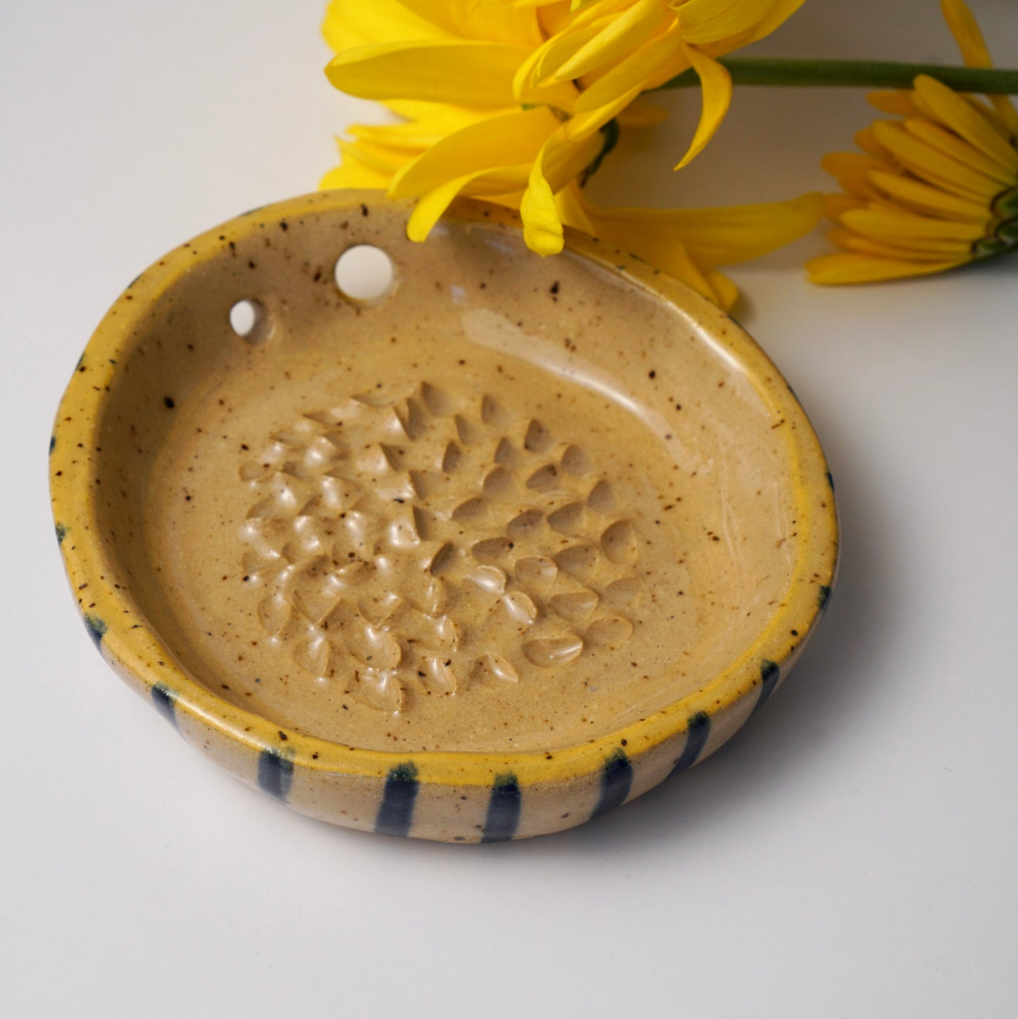 Gratte-ail en céramique | Bicolore